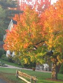 Une rue de Gatineau