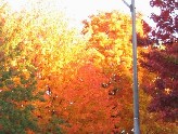 Une rue de Gatineau