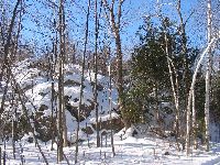 Sur un sentier de ski de fond